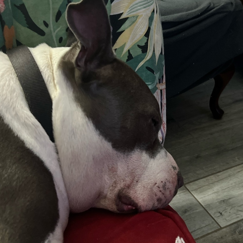 Meet your Posher, Scott